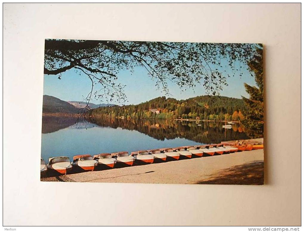 Titisee - Hochswarzwald - Uferpromenade  -  Cca 1950-60's´s   VF   D36173 - Titisee-Neustadt