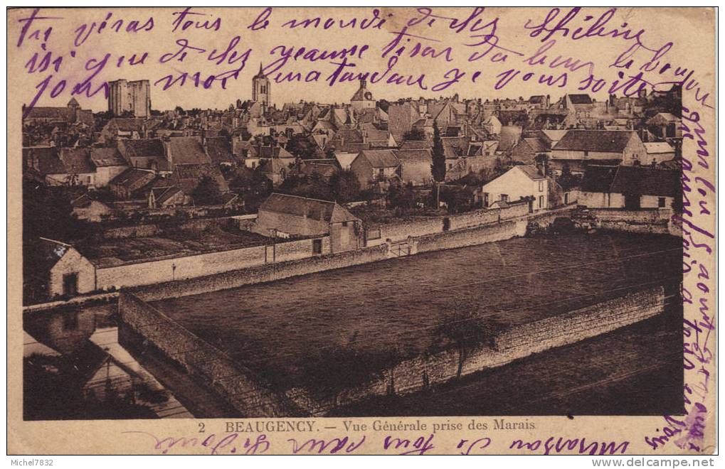 Beaugency Vue Générale Prise Des Marais - Beaugency