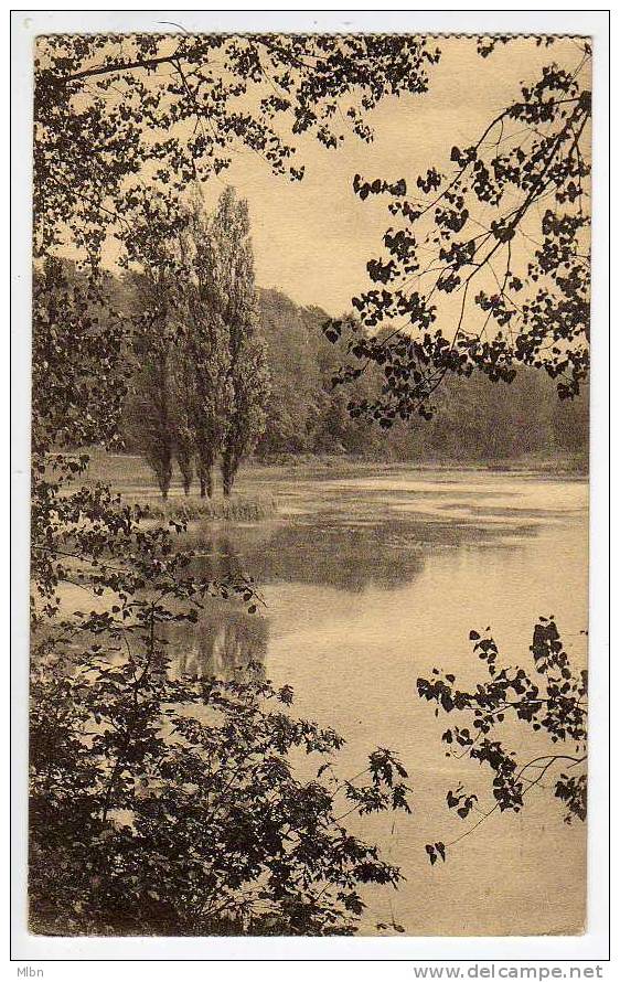 Cpa   Auderghem   Forêt De Soignes   Les Etangs  TBE - Auderghem - Oudergem