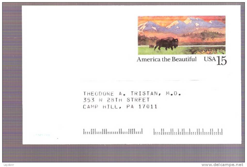 Postal Card - American Buffalo And Prairie - Scott # UX120 - 1981-00