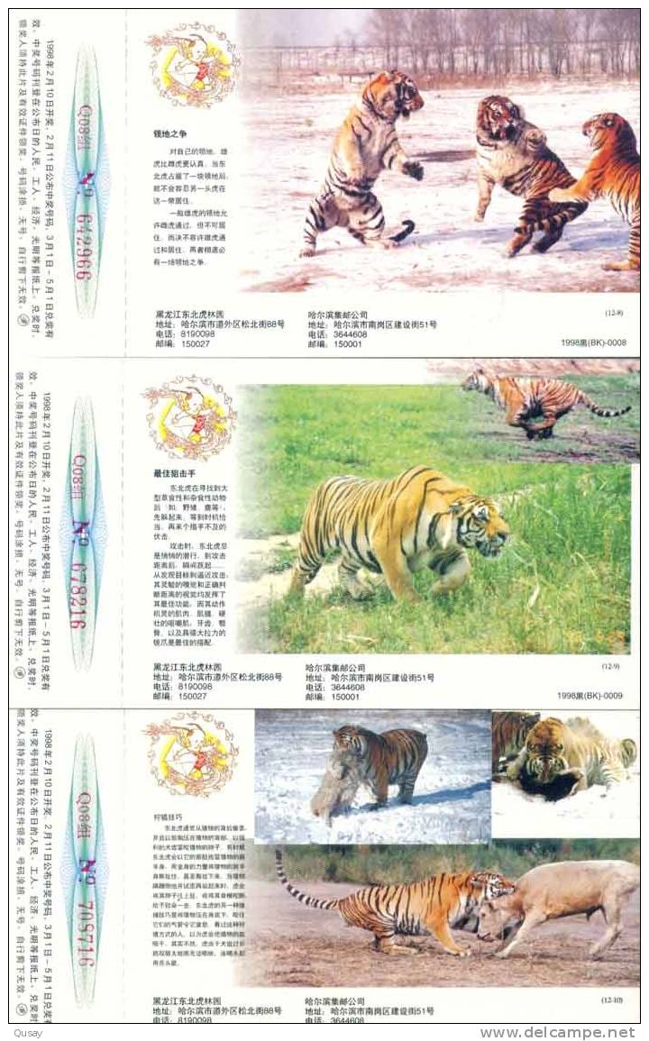 Endangered Species , Tiger  , 12 Prepaid Cards (a Complete Set ), Postal Stationery - Rhinocéros