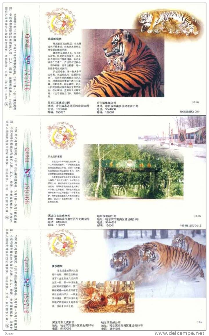 Endangered Species , Tiger  , 12 Prepaid Cards (a Complete Set ), Postal Stationery - Rhinocéros