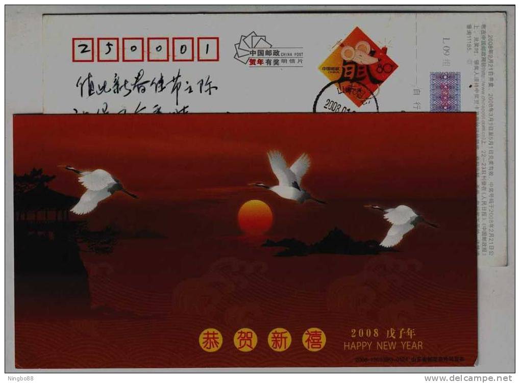 Red-crowned Crane Bird,the Seaside Rising Sun,China 2008 Shandong Post New Year Greeting Advertising Pre-stamped Card - Kranichvögel