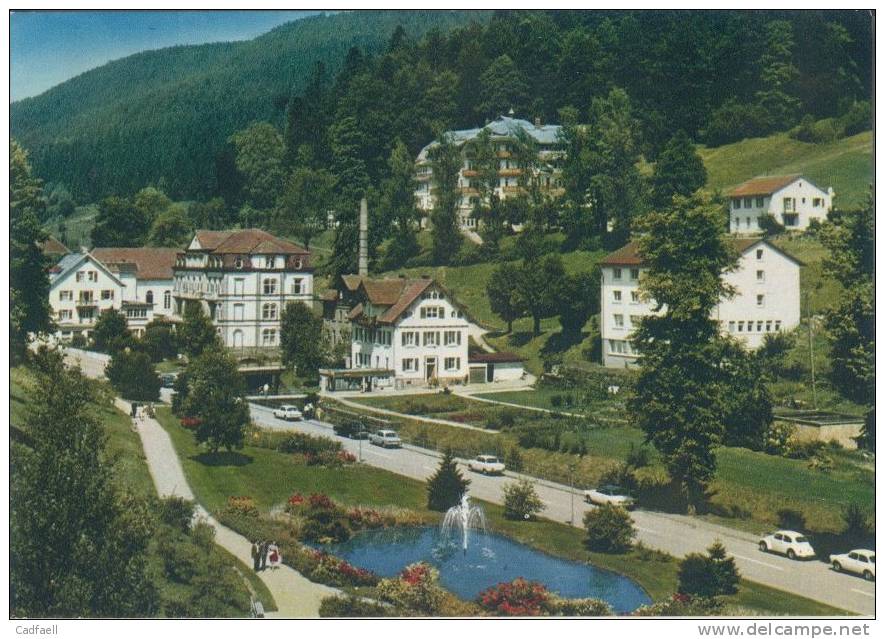 Ansichtskarte (de) - BAD RIPPOLDSAU Im Schwarzwald - Bad Rippoldsau - Schapbach