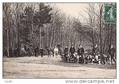 Villers Cotterets : La Chasse à Courre, La Meute - Villers Cotterets