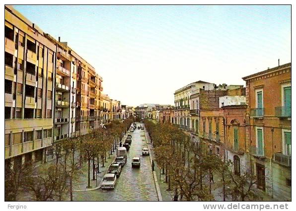 3079 - CERIGNOLA (FOGGIA) - Viale Roosevelt - Cerignola