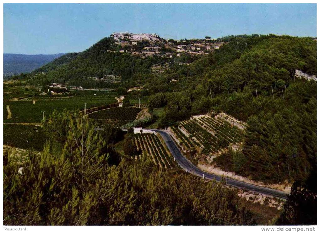 CPSM. LE CASTELLET. COTEAUX DES "VINS DE BANDOL". ANNEE 70/80. - Le Castellet