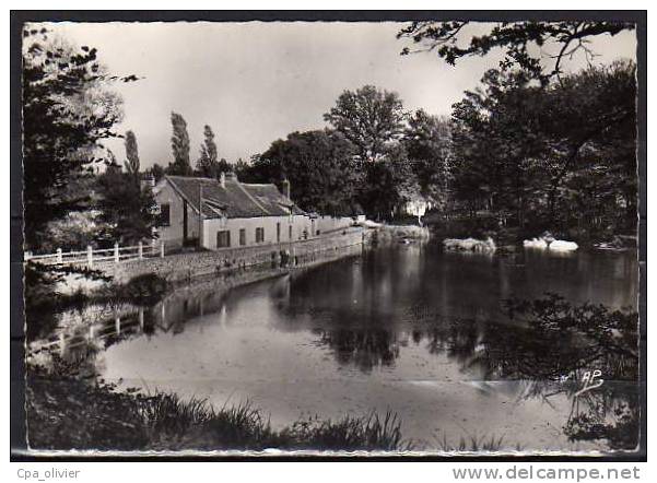 78 CERNAY LA VILLE Etang De Vaux, Ed AP 92, CPSM 10x15, 196? - Cernay-la-Ville