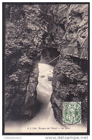 SUISSE - Gorges Du Trient - Le Lion - Trient