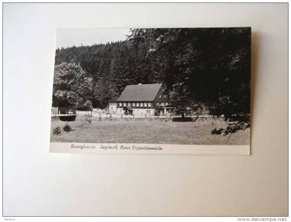 Seyde/E.  Zwergbaude  - Kreis Dippoldiswalde    Cca 1950-60´s VF  D36275 - Altenberg