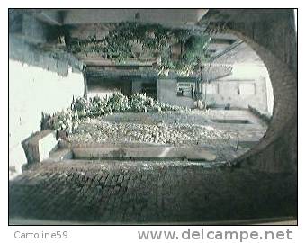 TODI PALME PAESE ASCOLI VIA FIUME VB1989 BH10799 - Ascoli Piceno