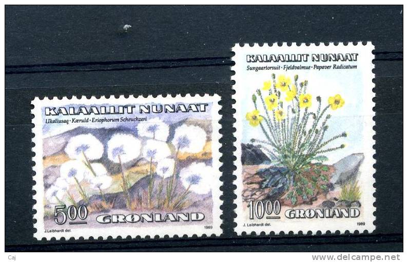 Groenland  -  1989  :  Yv  185-86  **     Fleur - Flower - Neufs