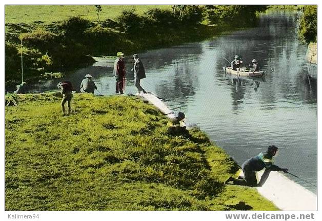 MANCHE  /  SAINT-SAUVEUR-LE-VICOMTE  /  PARADIS  DES  PÊCHEURS  /  Edit. LE GOUBEY  N° 2254   ( A Voyagé En 1967 ) - Saint Sauveur Le Vicomte