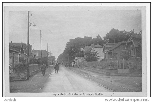 44 // SAINT BREVIN, Avenue Du Mindin, N° 125 Nozais édit, Bistre - Saint-Brevin-l'Océan