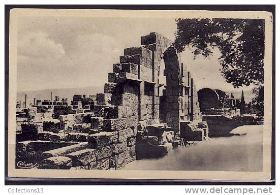 ALGERIE - Tébessa - Entrée De La Basilique - Tebessa