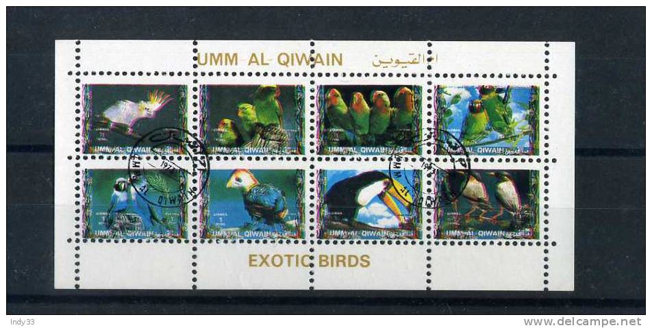 - UMM AL QIWAIN . BLOC DE PETITS TIMBRES  SUR LES OISEAUX EXOTIQUES . - Autres & Non Classés