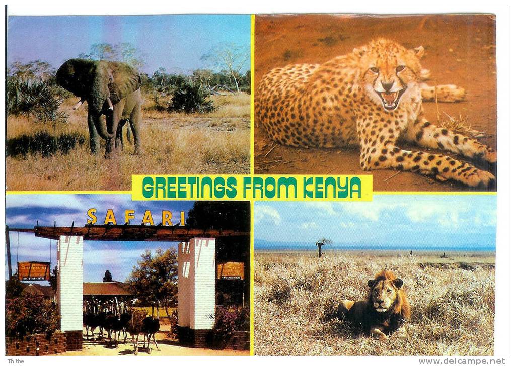 Greetings From KENYA - Lion - Elephant - Guépard - Autruches - Lions