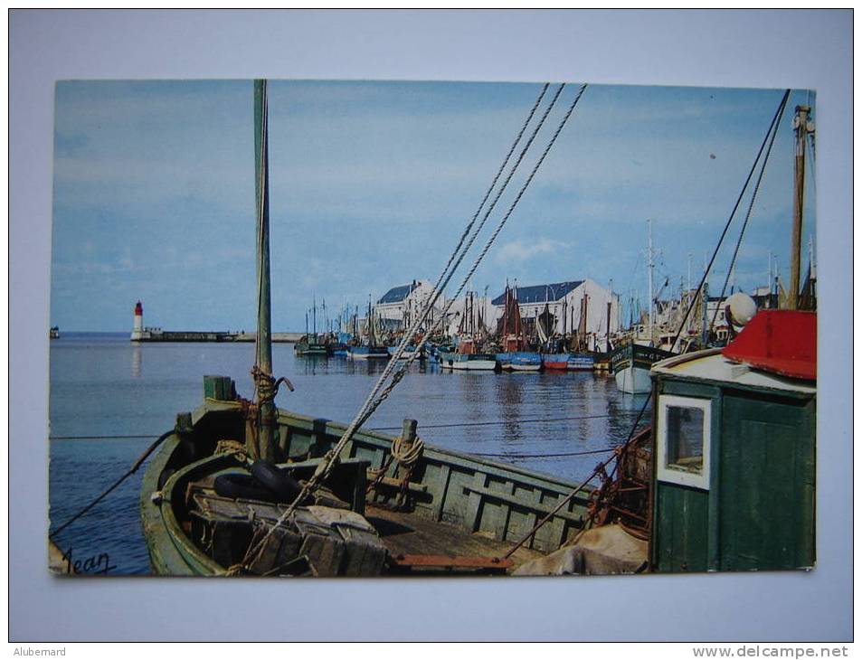 Le Port De Le Guilvinec . C.p.photo 14x9 - Guilvinec