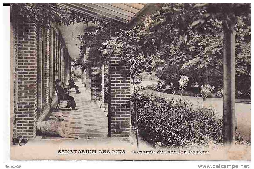 41 LAMOTTE BEUVRON Sanatorium Des Pins Véranda Pavillon Pasteur Animée - Lamotte Beuvron