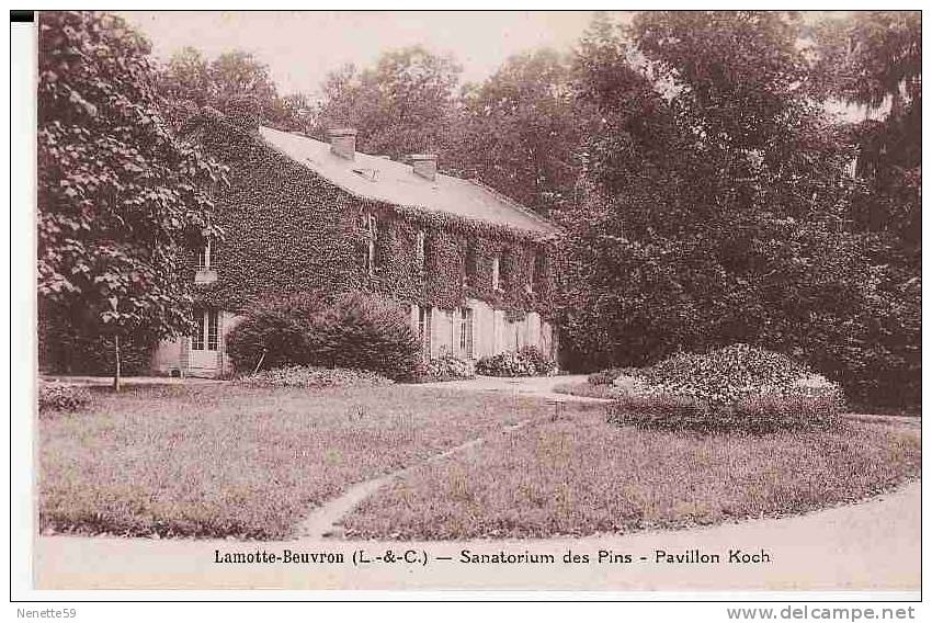 41 LAMOTTE BEUVRON Sanatorium Des Pins Pavillon Koch - Lamotte Beuvron