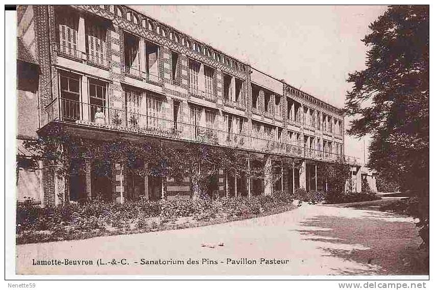 41 LAMOTTE BEUVRON Sanatorium Des Pins Pavillon Pasteur - Lamotte Beuvron