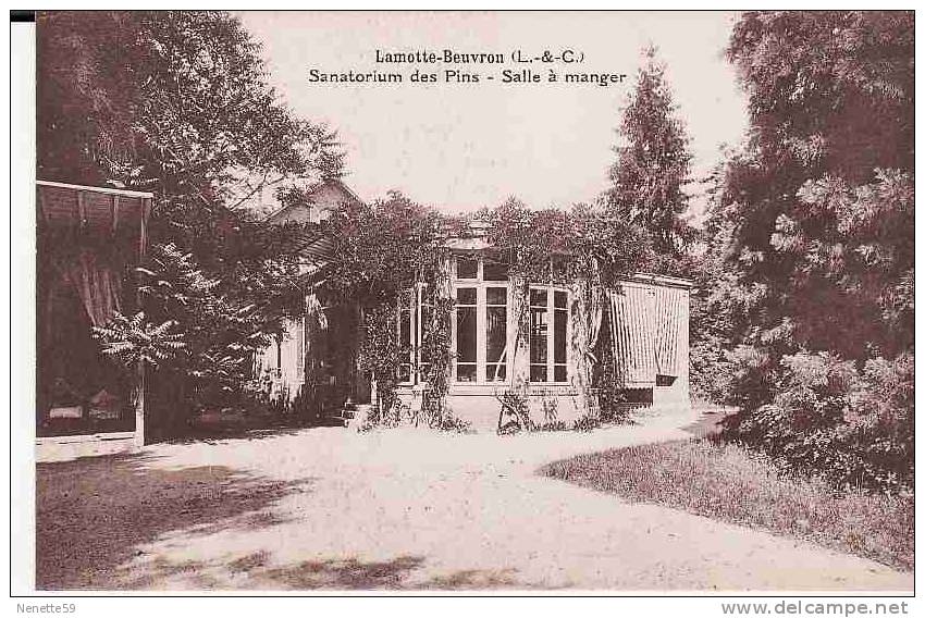 41 LAMOTTE BEUVRON Sanatorium Des Pins Salle à Manger - Lamotte Beuvron