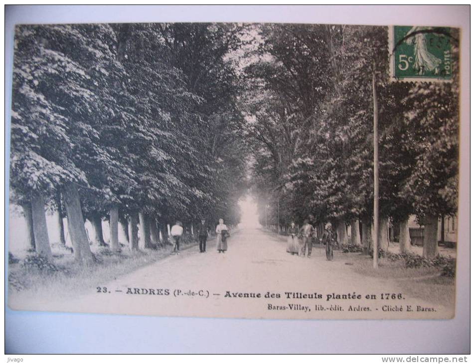 ARDRES  :  Avenue Des Tilleuls Plantée En 1766.  Carte Animée. - Ardres