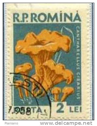 PIA - ROM - 1958 : Champignons - (Yv 1589) - Used Stamps