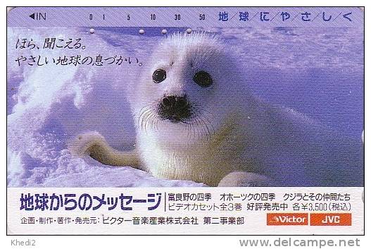 Télécarte Japon - Animal - BEBE PHOQUE - Young FUR SEAL / JVC Japan Phonecard - HEULER - BE 65 - Andere & Zonder Classificatie