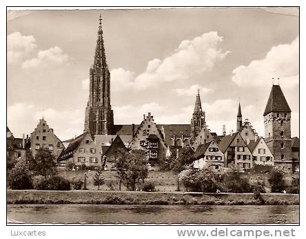 ULM AN DER DONAU. MÜNSTER VON DER DONAU AUS(161m). - Ulm