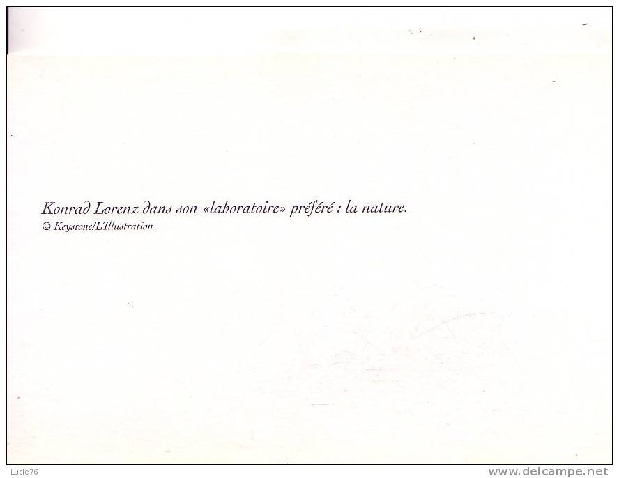 Carte De La Collection Du 20ème Siècle - KONRAD LORENZ Dans Son Laboratoire Préféré  : La Nature - Altri & Non Classificati