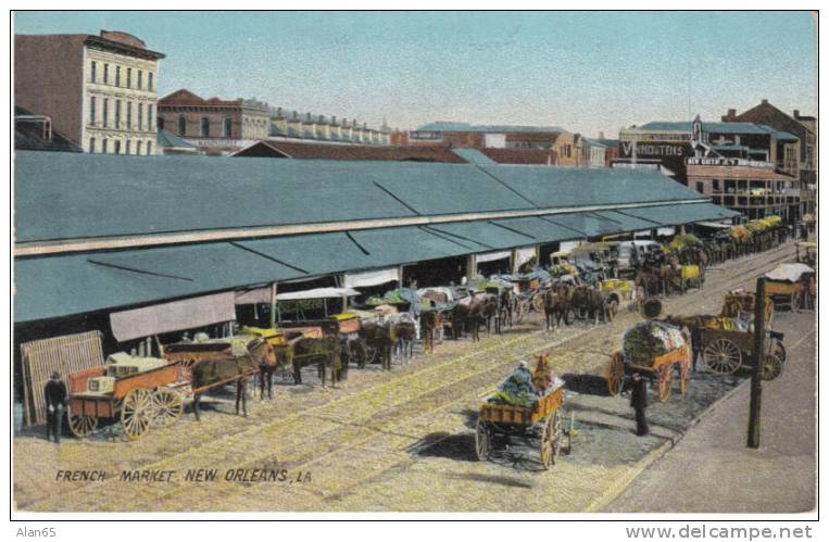 French Market New Orleans Louisiana Vintage Postcard, Horse-drawn Wagons, Market Street Scene - New Orleans