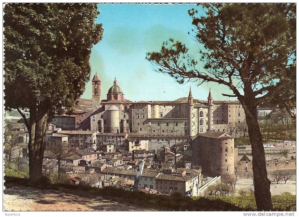 Urbino Panorama - Urbino