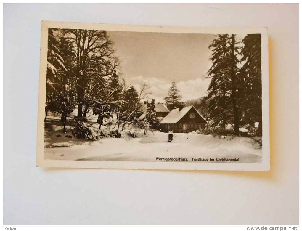 Wernigerode - Harz   Cca 1950´s    F  D36772 - Wernigerode