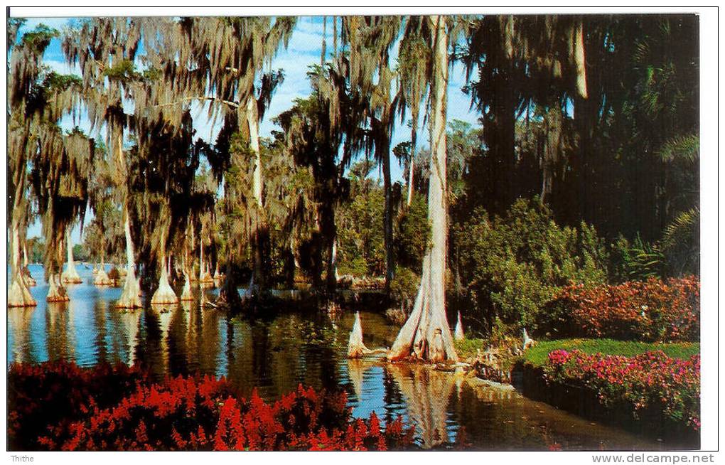 Florida's Cypress Gardens - Autres & Non Classés