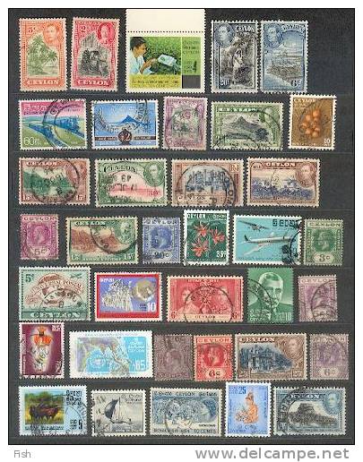 Ceylon (36) - Ceylon (...-1947)