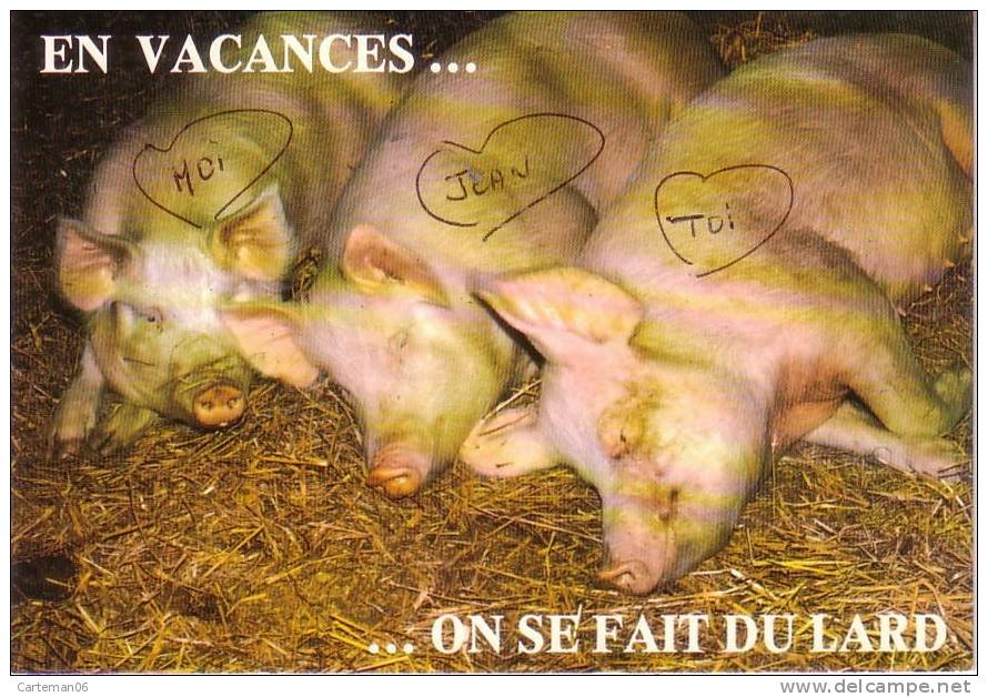 Animaux - Cochons - En Vacances ...... On Se Fait Du Lard - Schweine