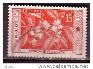 M4262 - COLONIES FRANCAISES CAMEROUN Yv N°304 - Used Stamps