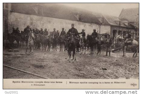 RIBECOURT (60) SAPHIS MAROCAINS CAMPES DANS UNE FERME - Ribecourt Dreslincourt