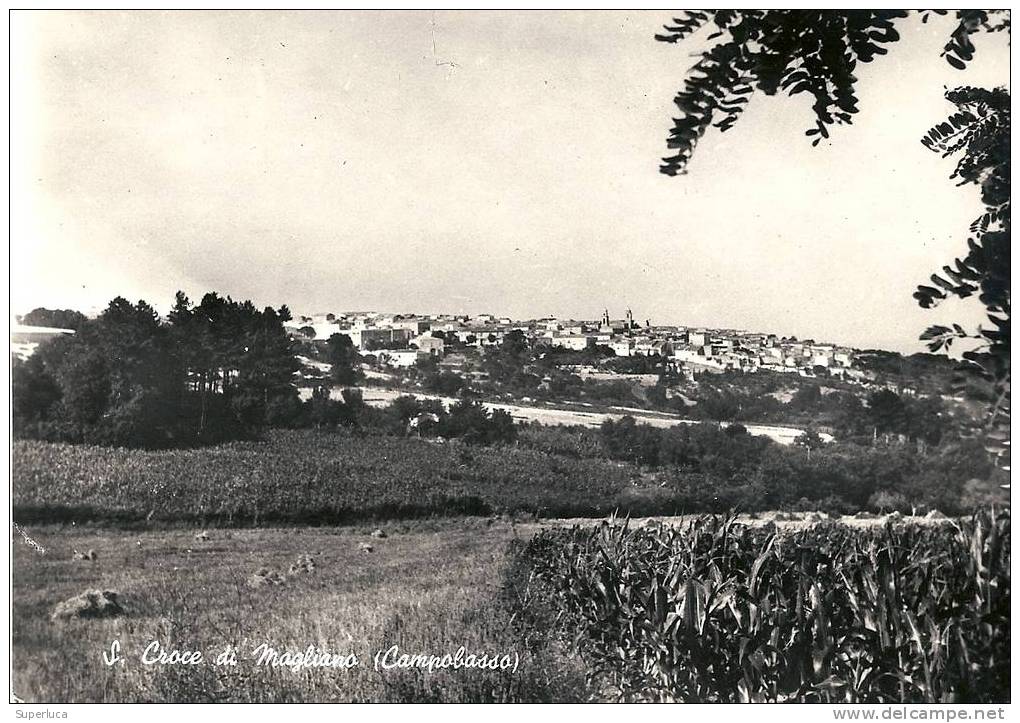 S.croce Di Magliano(campobasso)panorama - Campobasso