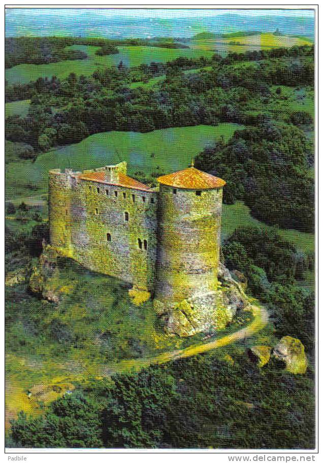 Carte Postale  63.  Chateau De Busseol   Vic-le-Comte Vue D´avion Trés Beau Plan - Vic Le Comte
