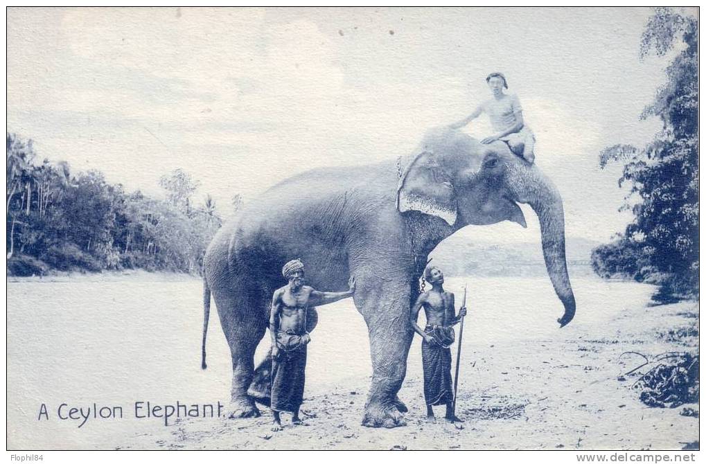 CEYLON-ELEPHANT - Sri Lanka (Ceylon)