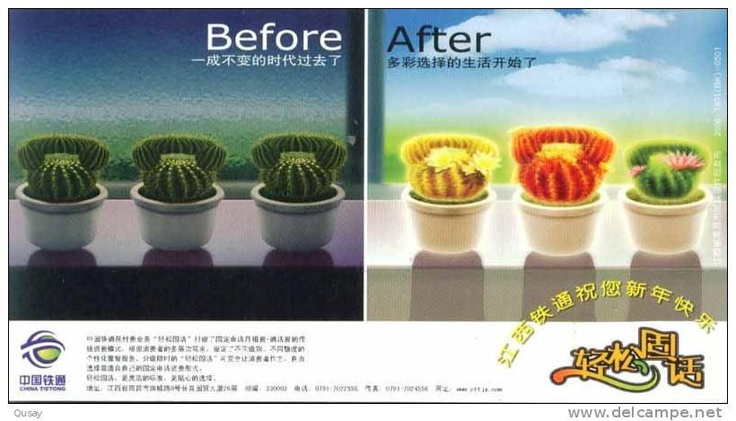 Cactus Flower ,     Prepaid Card, Postal Stationery - Sukkulenten