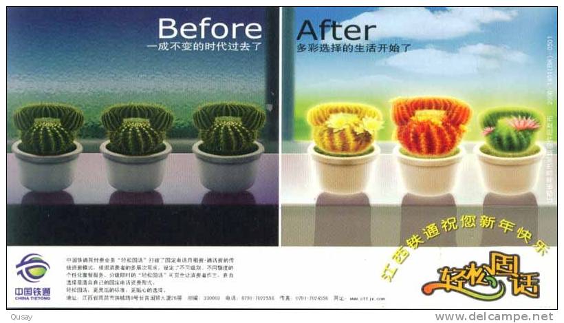 Cactus Flower ,     Prepaid Card, Postal Stationery - Cactussen