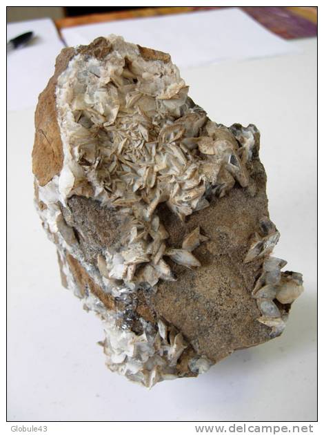 CALCITE CREME SUR CALCAIRE MARRON 10 X 8 CM ALLENC  LOZERE - Minerales