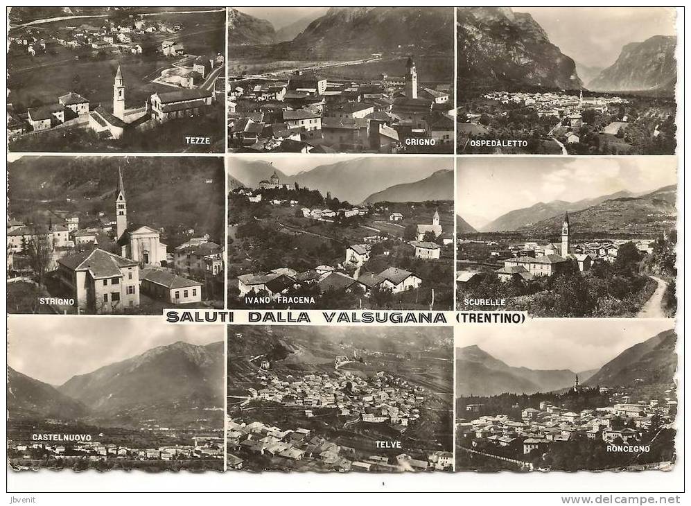 SALUTI DALLA VALSUGANA (Trento) - Panorama Di 9 Paesi - Trento