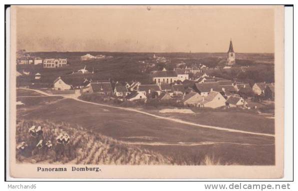 DOMBURG . PANORAMA (cp Un Trou En Haut) - Domburg