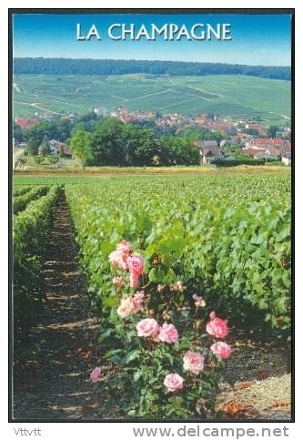 LA CHAMPAGNE : Vignes, Paysages, Fleurs, Rosiers, Edit. Estel (circulée) - Champagne-Ardenne