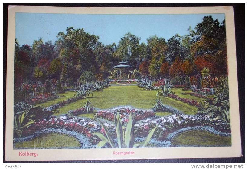 Germany,Kolberg,Rosengarten,Park,Flowers,Roses,vintage Postcard - Pommern