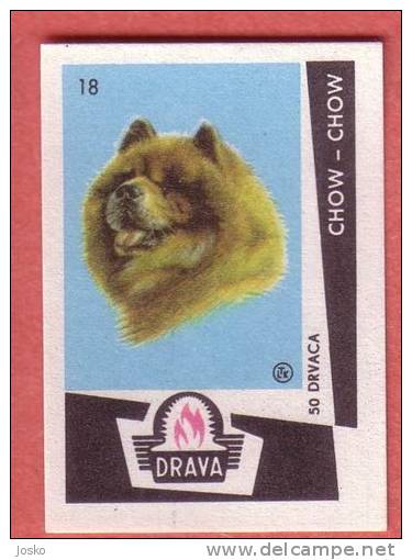 CHOW CHOW   (  Yugoslavia Matchbox Label  ) Dog Chien Perro Hund Cane Hond Dogs * Etiquette D`allumettes - Matchbox Labels